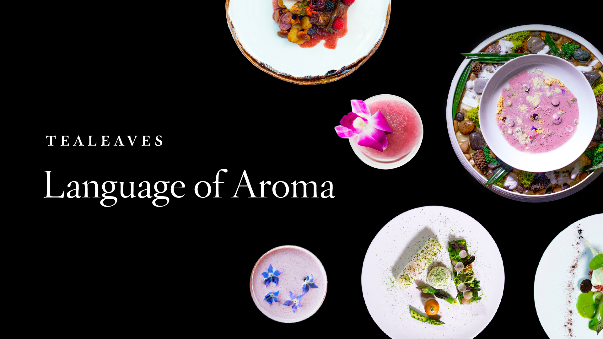 Language of Aroma