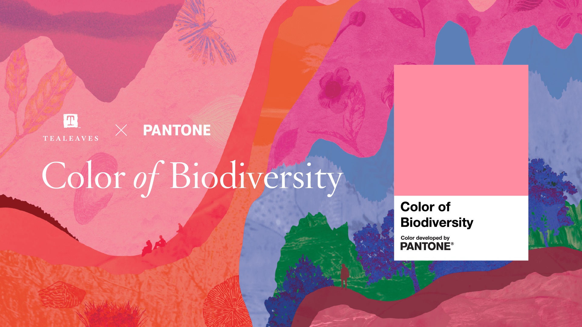 Color of Biodiversity