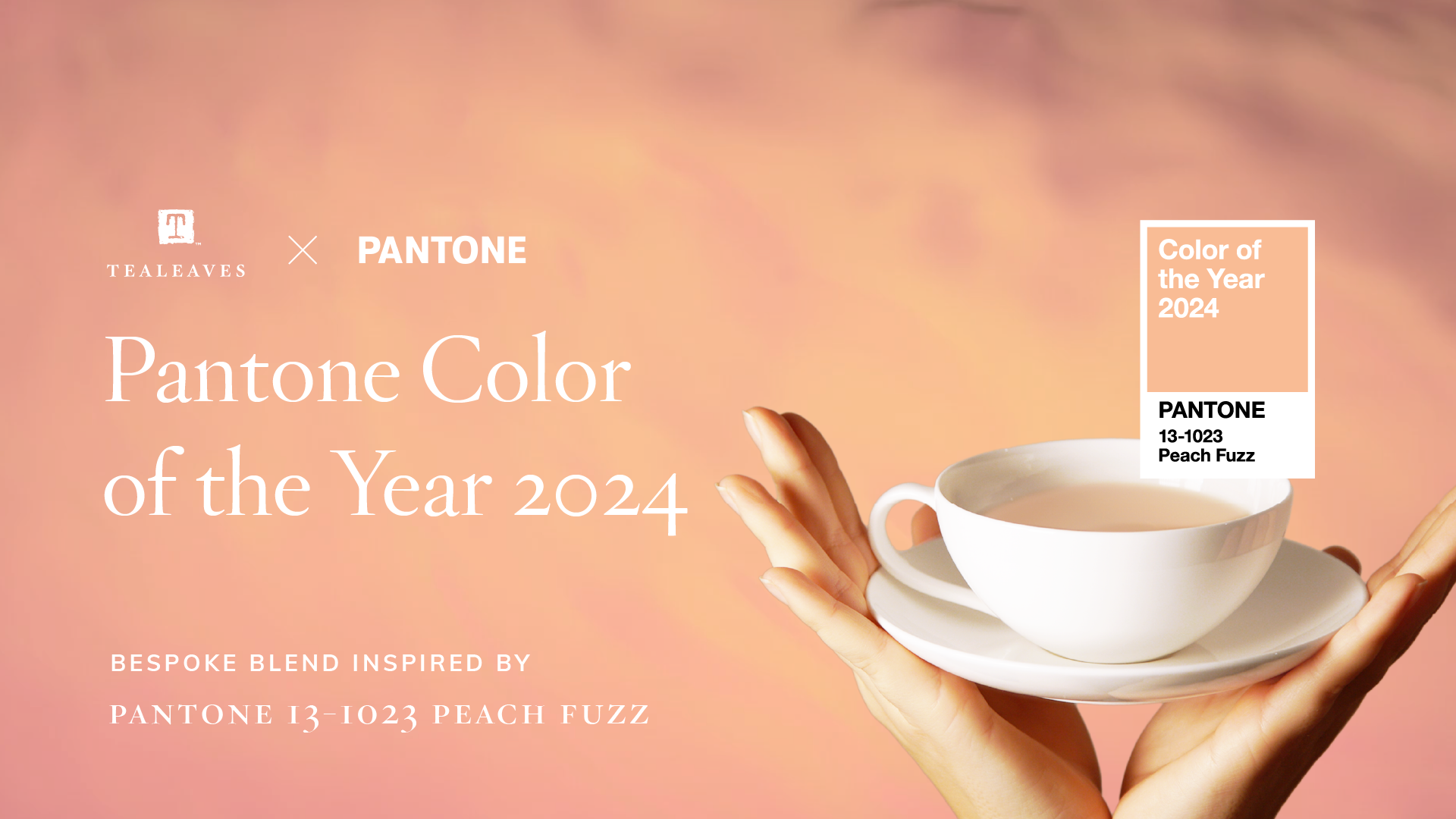 Pantone Color of the Year 2024 Peach Fuzz